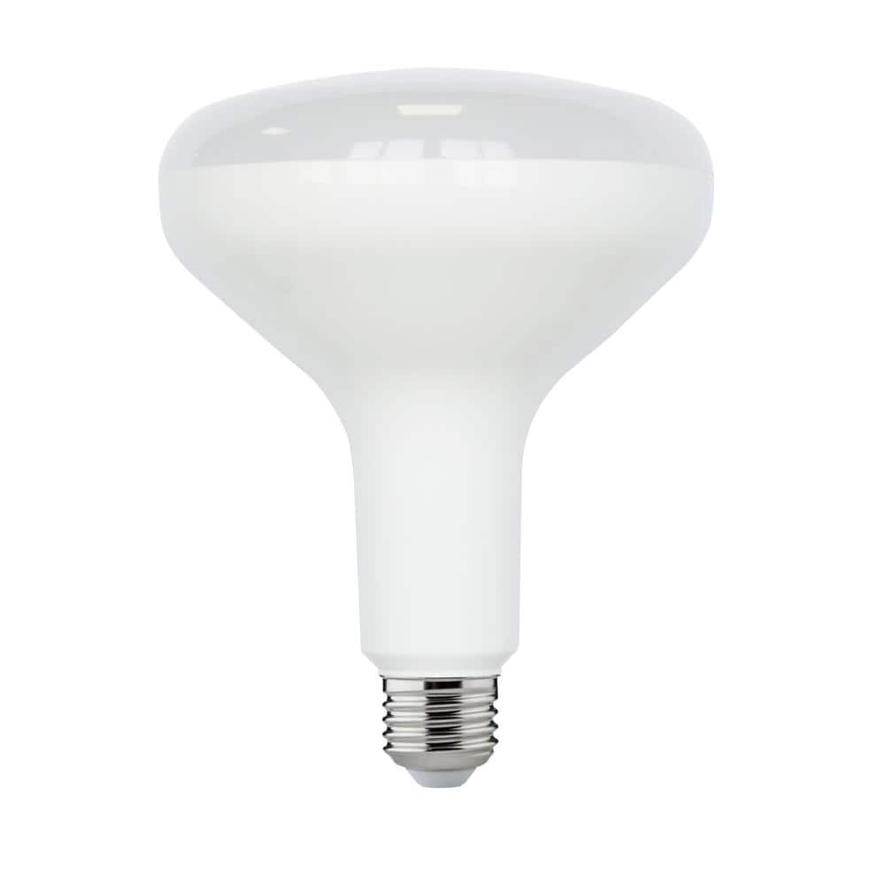 bombillo frente · Home Depot Internet # 315870713