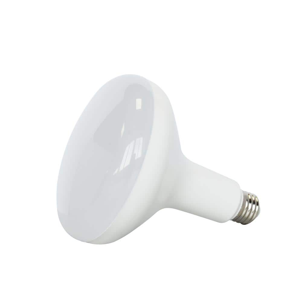 bombillo lado · Home Depot Internet # 315870713